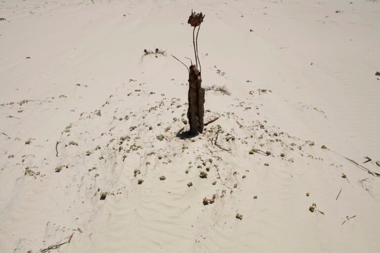 African-migrants-graves-Judith-Quax-05