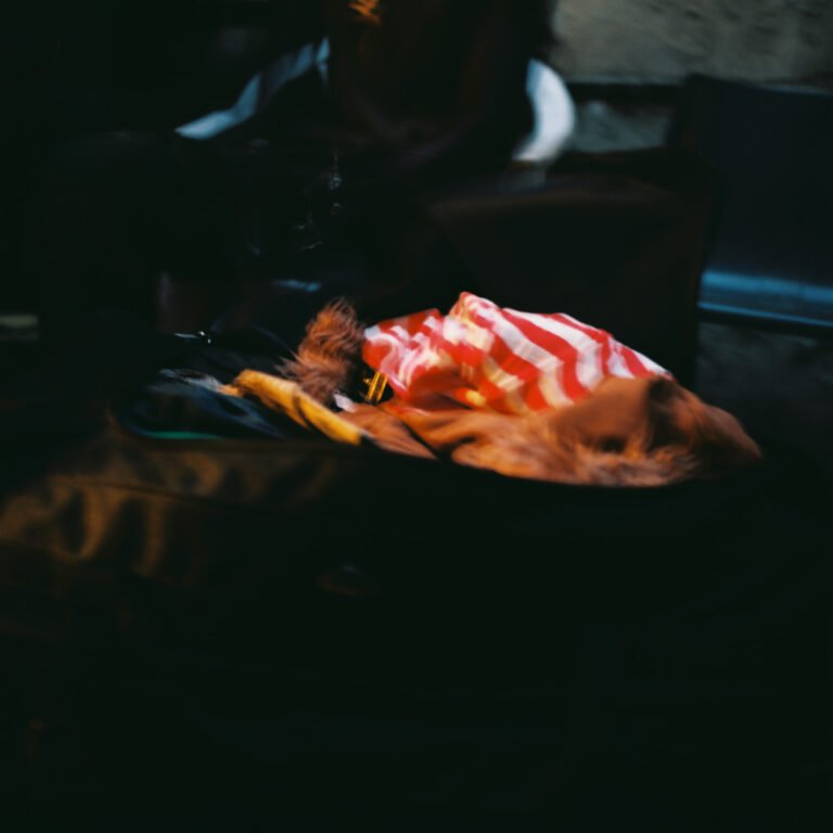 JQMarseille22-768x768